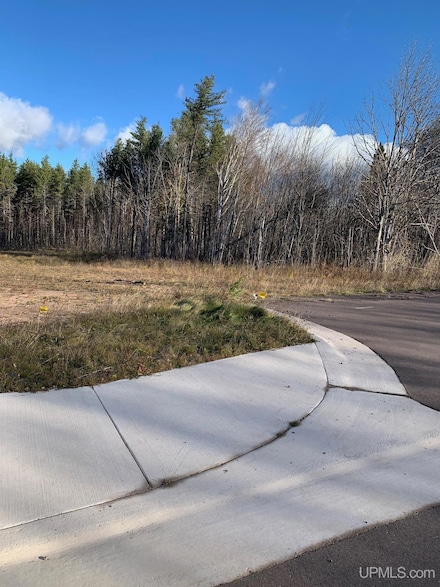 Lot 11 Dolomite Dr, Hancock, MI 49930