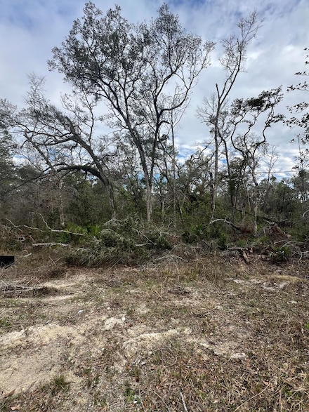TBD NE 281st Ave, Old Town, FL 32680