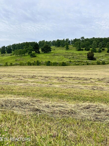 Tract 5 Highway 92, Rutledge, TN 37861