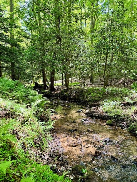 308 Creekside Trail, Ellijay, GA 30540
