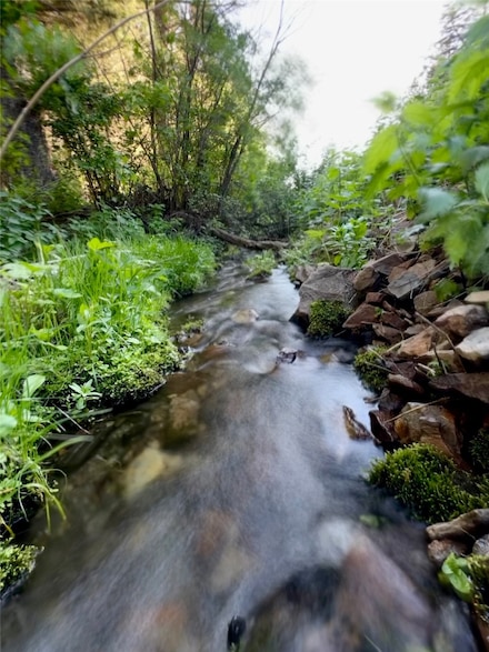 TBD Soap Gulch Rd, Butte, MT 59743