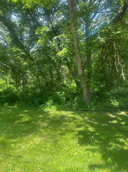 TBD Lot 2 Envelope 1 Baycrest Rd, Glenwood, MN 56334