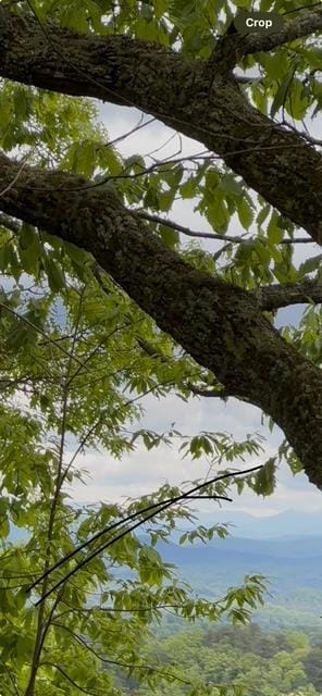 16 Ac Campbell Cove Creek Rd, Turtletown, TN 37391