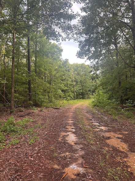 0 Peeks Rd, Reform, AL 35481
