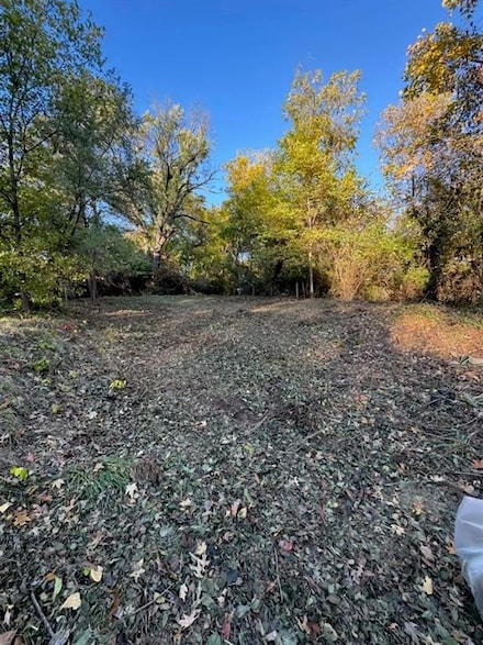 1314 E 81st St, Kansas City, MO 64131