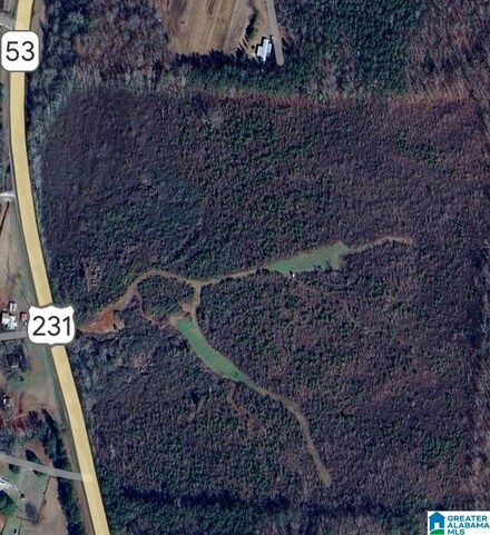 0 Highway 231 Unit 21405767, Vincent, AL 35178