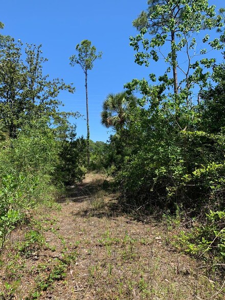 LOT 9 Cr 30-A, Port St. Joe, FL 32456