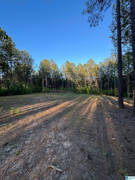 218 Foxtail Path Unit 11-F, Westover, AL 35147