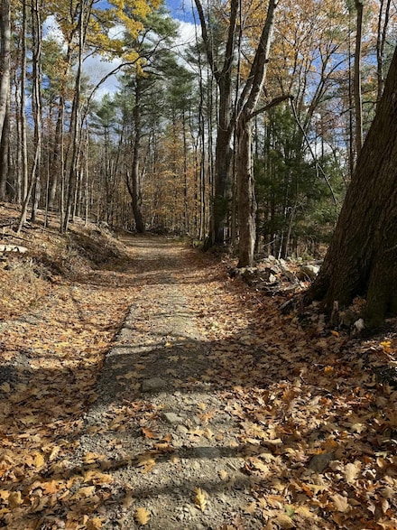 60 Pound Rd, Sanbornton, NH 03269