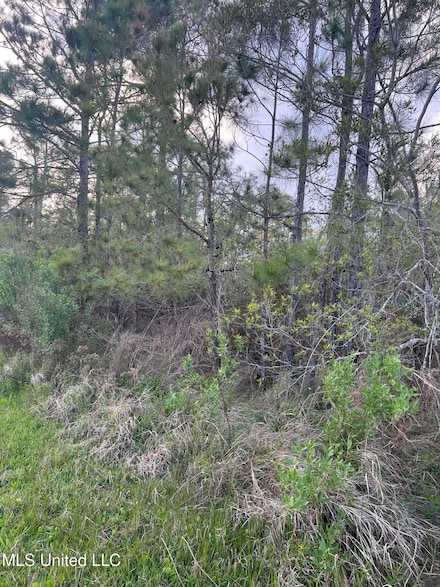0 Dolphin St, Bay Saint Louis, MS 39520