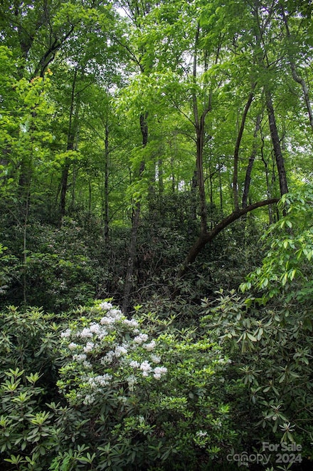 TBD Fox Den Rd Unit Lot 57&59, Brevard, NC 28712