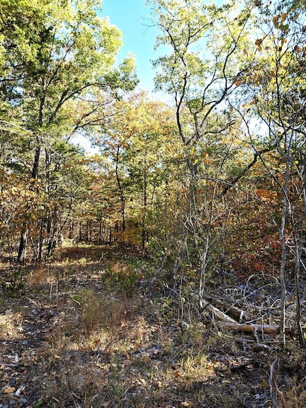 000 Tbd Nazarene Church Rd, Kissee Mills, MO 65680