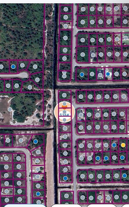 1104 Genoa Ave S, Lehigh Acres, FL 33974