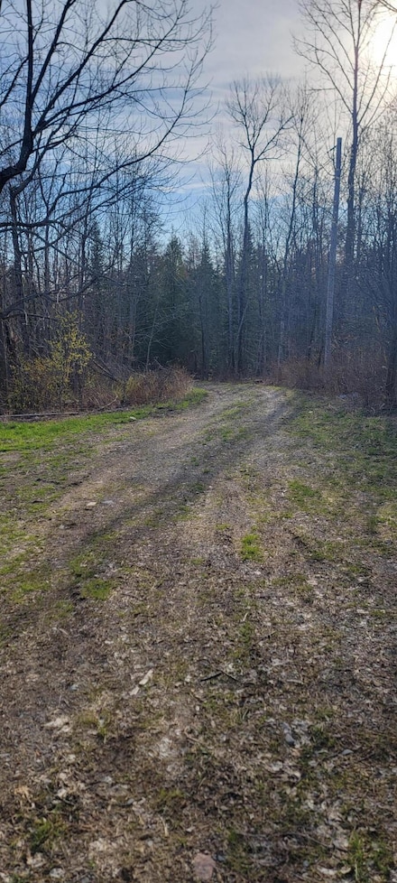 69 Hodgins Ln, Calais, ME 04619