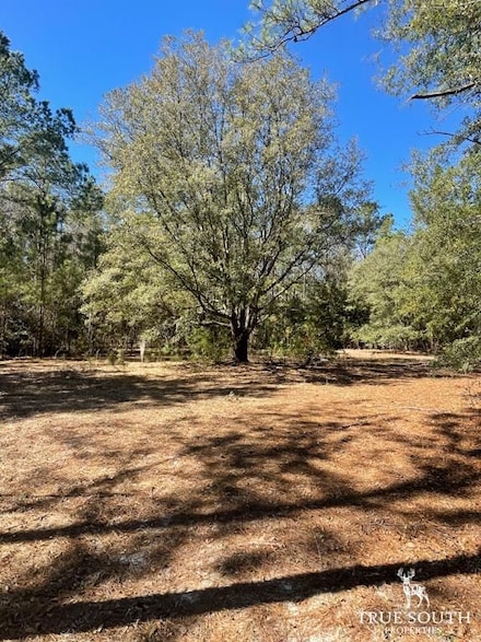 401 Stock Farm Rd, Ridgeland, SC 29936