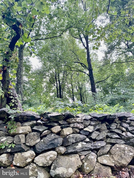 0 Blueridge Mountain Lot 1 Rd Unit VACL2002828, Bluemont, VA 20135