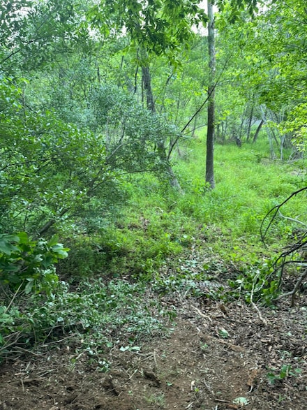 Lot 77 N Church Dr, Hardy, VA 24101