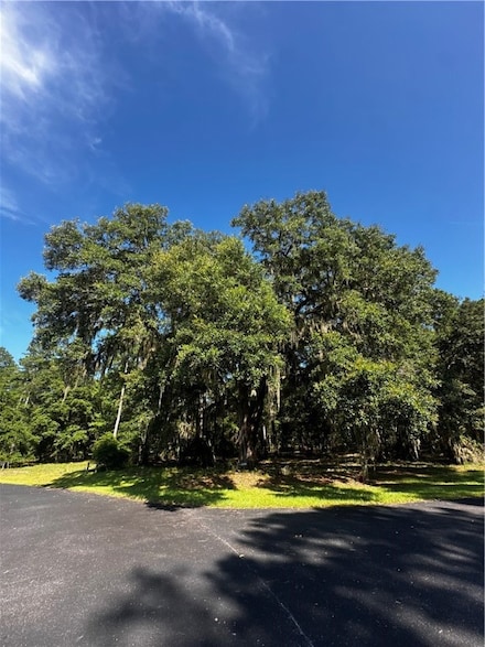 Lot 610 NE Blue Heron Ln, Townsend, GA 31331