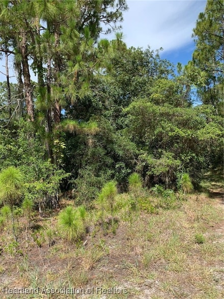 379 Imagination Dr, Lake Placid, FL 33852