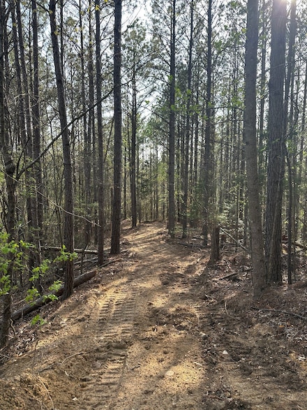 0 Pleasant Ridge Church Rd, Fayette, AL 35555