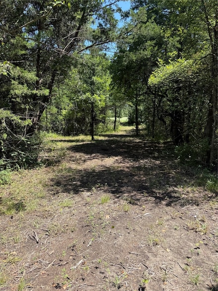 310 W Cardinal St, Ector, TX 75439