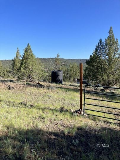 0 Raccoon Ln, Alturas, CA 96101