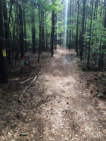 70 acres Thickety Creek Rd, Mount Gilead, NC 27306