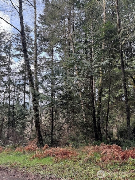 11022 Spruce Dr, Anderson Island, WA 98303