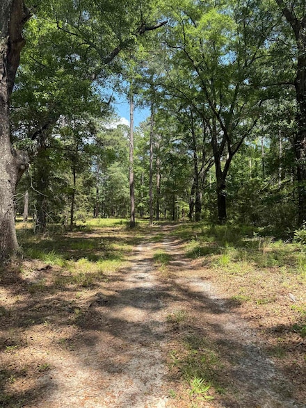 0000 Straughn School Rd, Andalusia, AL 36421