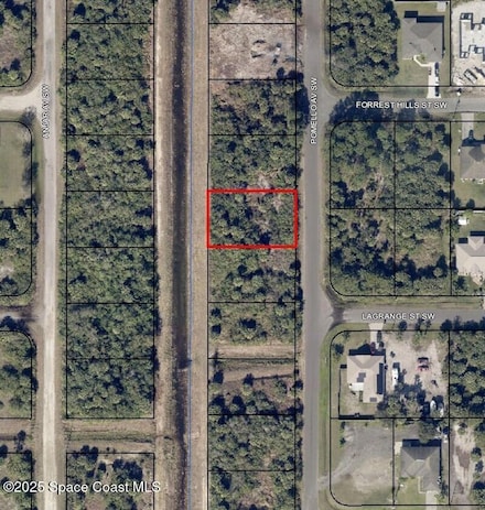 2990 Pomello Ave SW, Palm Bay, FL 32908