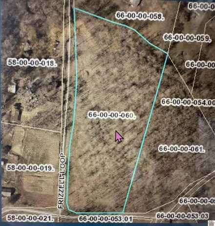 0 Frizzell Loop Rd, Benton, KY 42025