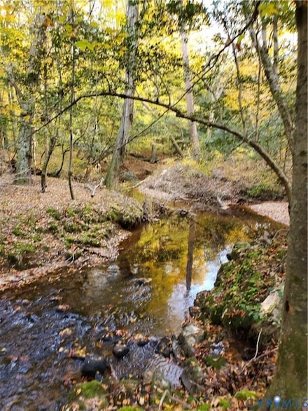 17237 Ivory Bill Ln, Chesterfield, VA 23838