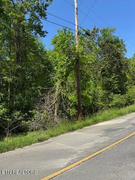 Lot 1240 Rustic Dr, Baneberry, TN 37890