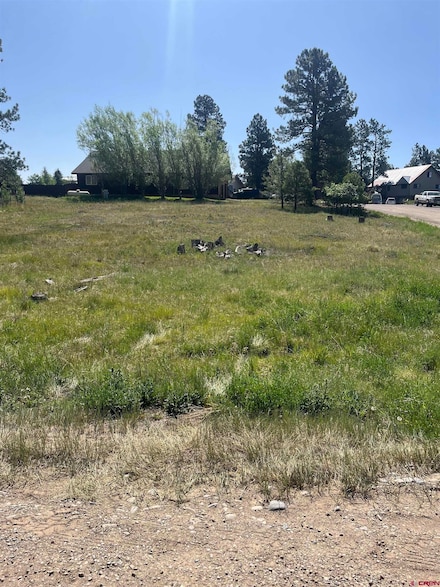 20 La Costa Ct, Pagosa Springs, CO 81147