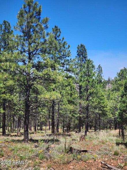 4975 Morning View Dr Unit 2, Happy Jack, AZ 86024
