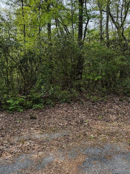 Lot#42 Knights Landing Dr, Heathsville, VA 22473