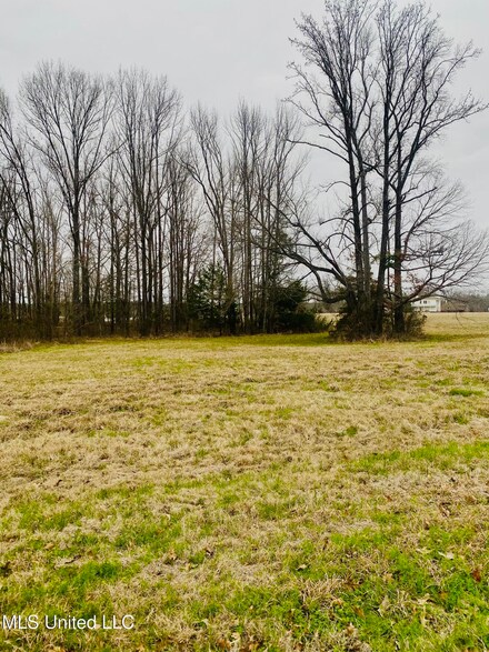 0 Woodbridge Dr Unit 4103720, Brandon, MS 39047