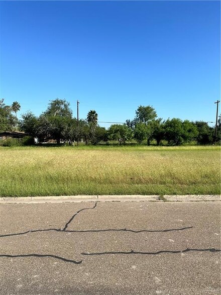 3430 Bamboo Palm Ct N, Harlingen, TX 78552