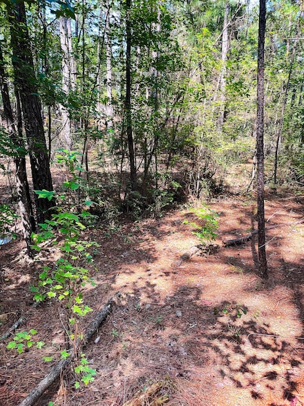0 Tbd Browns Creek Church Rd Unit LotWP001, Elizabethtown, NC 28337
