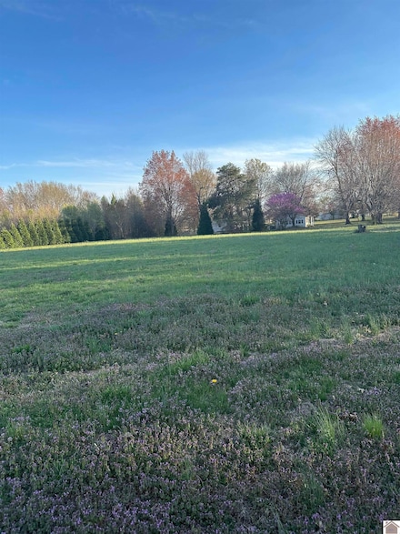 7080 Old Hinkleville Rd, Paducah, KY 42001