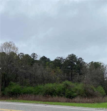 00 Highway 5, Brent, AL 35034