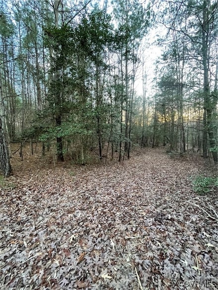 TBD / Lot 2 Evergreen Rd, Provdence Frg, VA 23140