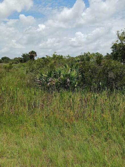 16216 NW 260th St, Okeechobee, FL 34972