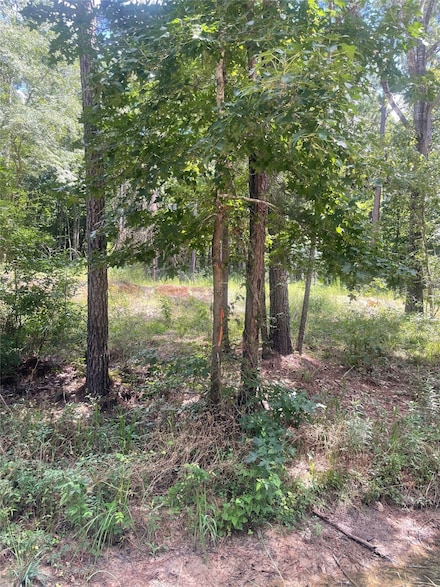 70 Tall Timbers Trail, Coldspring, TX 77331