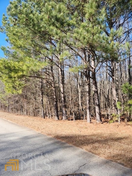 160 Green Meadow Ln, Fayetteville, GA 30215