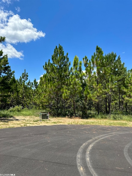 0 Hampton Ridge Ct Unit Lot 34 351771, Mobile, AL 36608