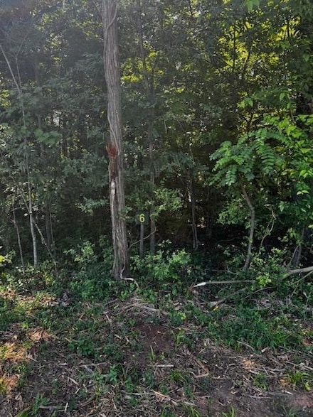 Lot 6 Stripers Cove Ln, Clarksville, VA 23927