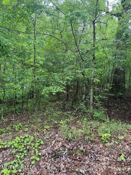 Lot 71 Block B Holiday Hills, Como, MS 38619