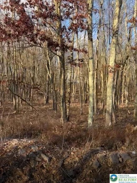 55 Arapahoe Rd Unit MV2330, Penn Forest Township, PA 18210