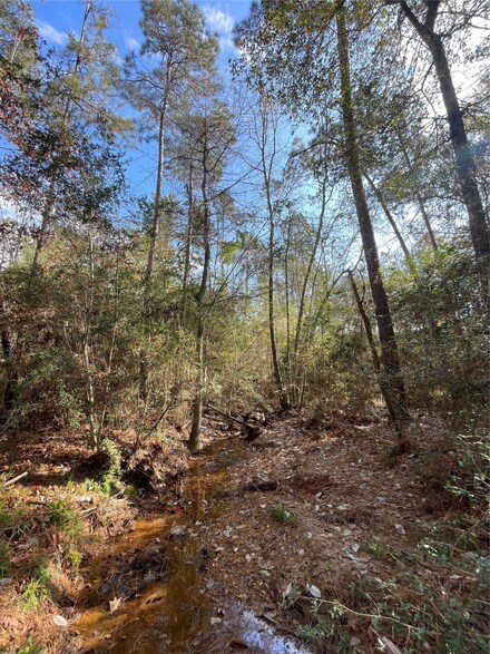 10733 Ruger Rd, Willis, TX 77378